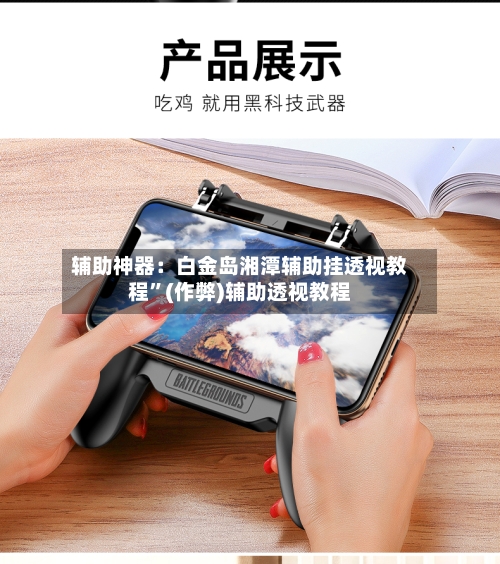 辅助神器：白金岛湘潭辅助挂透视教程”(作弊)辅助透视教程-第1张图片