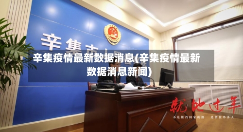 辛集疫情最新数据消息(辛集疫情最新数据消息新闻)-第2张图片