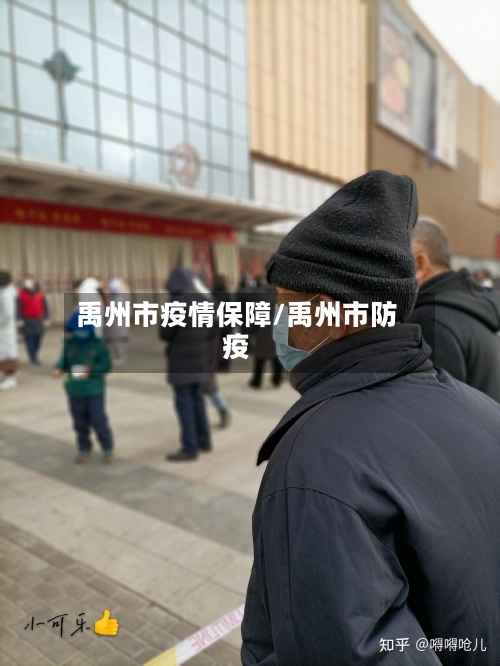 禹州市疫情保障/禹州市防疫-第1张图片