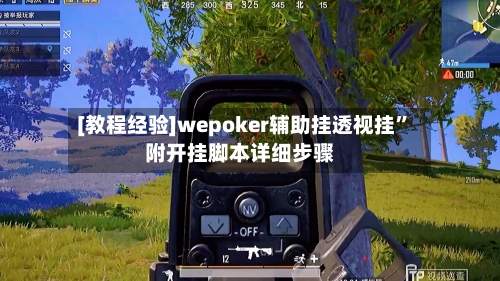 [教程经验]wepoker辅助挂透视挂”附开挂脚本详细步骤-第2张图片