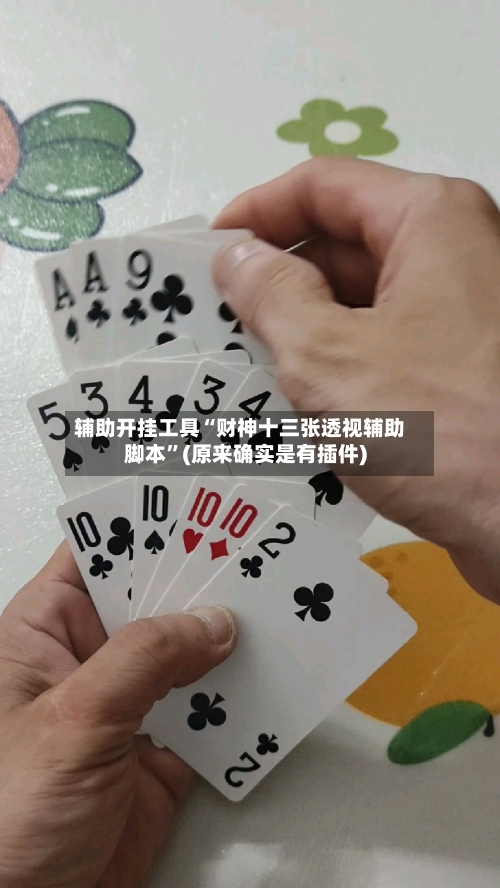 辅助开挂工具“财神十三张透视辅助脚本”(原来确实是有插件)-第1张图片