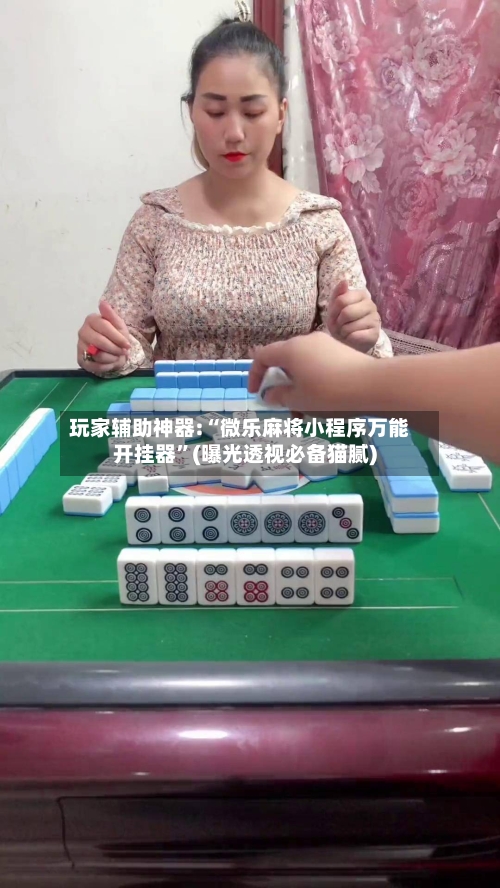 玩家辅助神器:“微乐麻将小程序万能开挂器”(曝光透视必备猫腻)-第2张图片