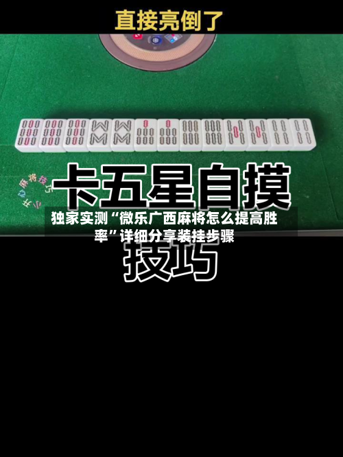 独家实测“微乐广西麻将怎么提高胜率”详细分享装挂步骤-第2张图片