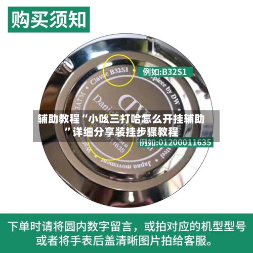 辅助教程“小吆三打哈怎么开挂辅助	”详细分享装挂步骤教程-第1张图片