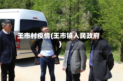 王市村疫情(王市镇人民政府)-第1张图片