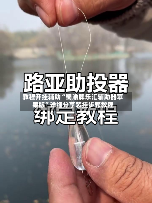 教程开挂辅助“蜀渝牌乐汇辅助器苹果版”详细分享装挂步骤教程-第3张图片