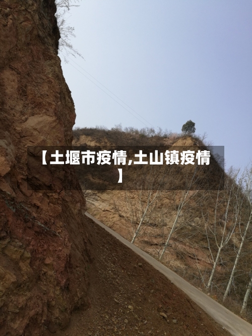 【土堰市疫情,土山镇疫情】-第3张图片