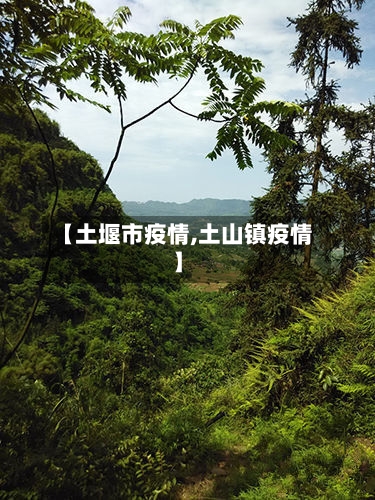 【土堰市疫情,土山镇疫情】-第1张图片