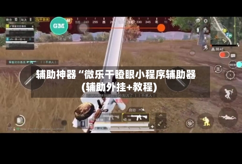 辅助神器“微乐干瞪眼小程序辅助器(辅助外挂+教程)-第1张图片