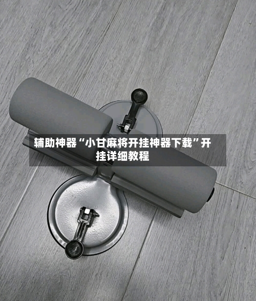 辅助神器“小甘麻将开挂神器下载	”开挂详细教程-第2张图片