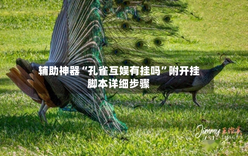 辅助神器“孔雀互娱有挂吗”附开挂脚本详细步骤-第1张图片