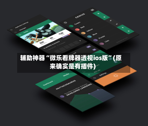 辅助神器“微乐看牌器透视ios版”(原来确实是有插件)-第3张图片