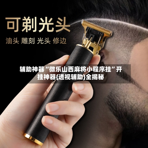 辅助神器“微乐山西麻将小程序挂	”开挂神器{透视辅助}全揭秘-第1张图片