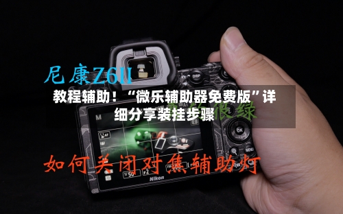 教程辅助！“微乐辅助器免费版	”详细分享装挂步骤-第2张图片