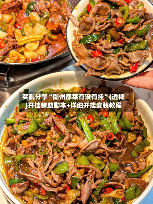 实测分享“衢州都菜有没有挂	”(透视)开挂辅助脚本+详细开挂安装教程-第1张图片