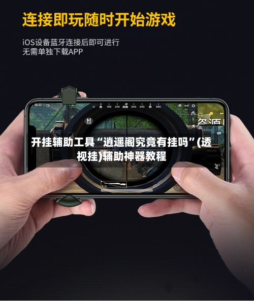 开挂辅助工具“逍遥阁究竟有挂吗	”(透视挂)辅助神器教程-第2张图片