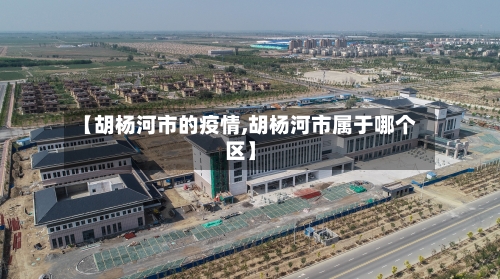 【胡杨河市的疫情,胡杨河市属于哪个区】-第3张图片