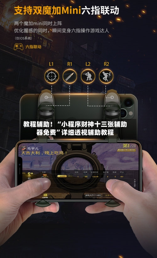 教程辅助！“小程序财神十三张辅助器免费”详细透视辅助教程-第1张图片