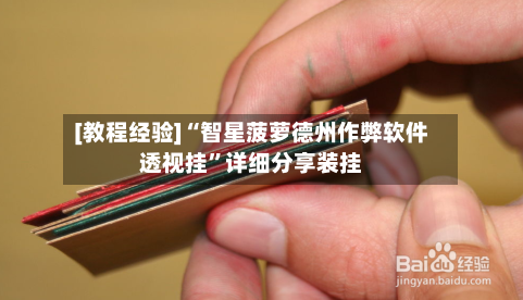 [教程经验]“智星菠萝德州作弊软件透视挂”详细分享装挂-第3张图片