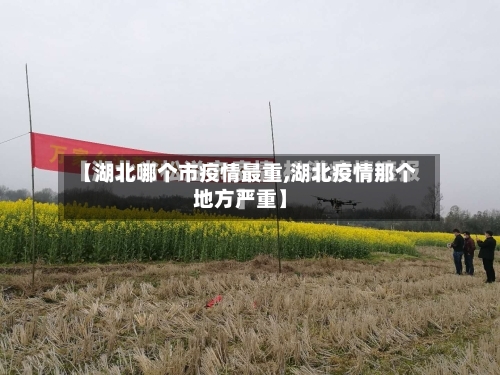 【湖北哪个市疫情最重,湖北疫情那个地方严重】-第2张图片