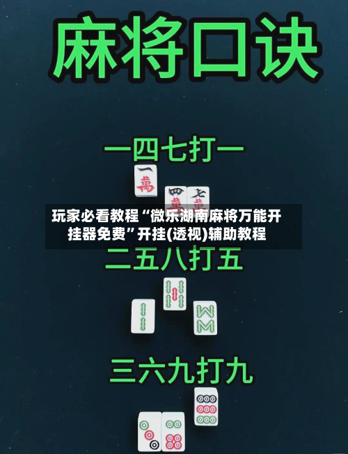 玩家必看教程“微乐湖南麻将万能开挂器免费”开挂(透视)辅助教程-第2张图片