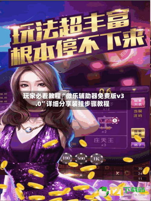 玩家必看教程“微乐辅助器免费版v3.0	”详细分享装挂步骤教程-第2张图片