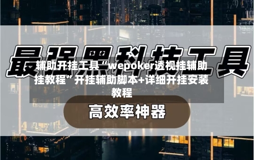 辅助开挂工具“wepoker透视挂辅助挂教程	”开挂辅助脚本+详细开挂安装教程-第2张图片
