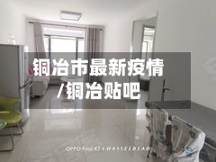 铜冶市最新疫情/铜冶贴吧-第1张图片