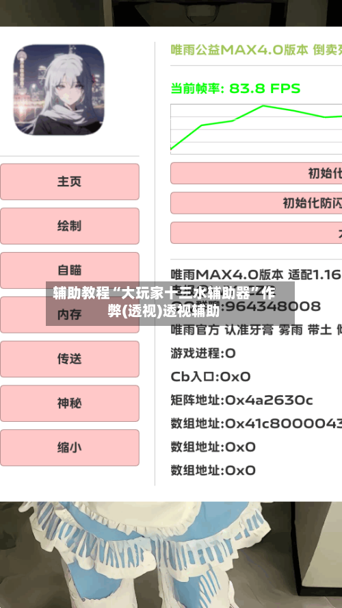 辅助教程“大玩家十三水辅助器”作弊(透视)透视辅助-第1张图片