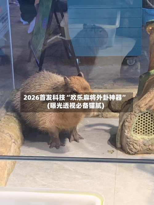 2026首发科技“欢乐麻将外卦神器”(曝光透视必备猫腻)-第2张图片