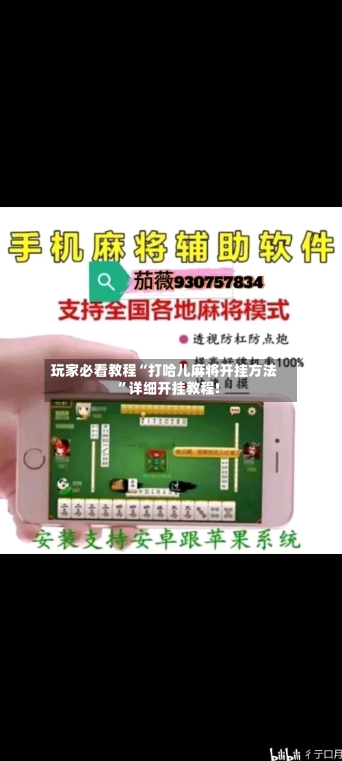 玩家必看教程“打哈儿麻将开挂方法”详细开挂教程!-第1张图片