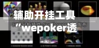 辅助开挂工具“wepoker透视脚本官网?”开挂(透视)辅助-第3张图片
