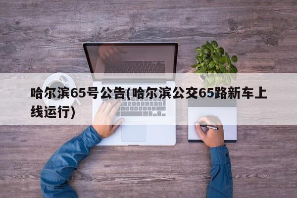 哈尔滨65号公告(哈尔滨公交65路新车上线运行)