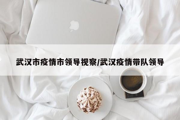 武汉市疫情市领导视察/武汉疫情带队领导