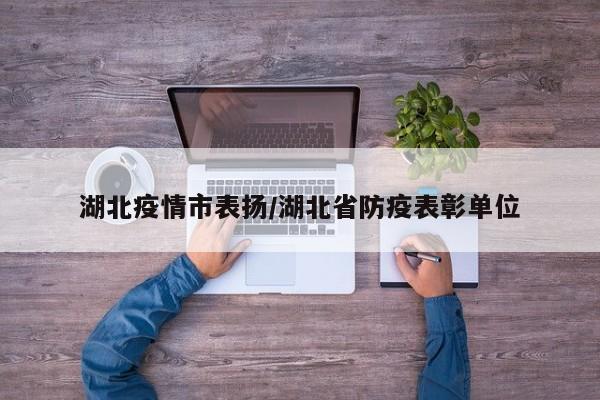 湖北疫情市表扬/湖北省防疫表彰单位